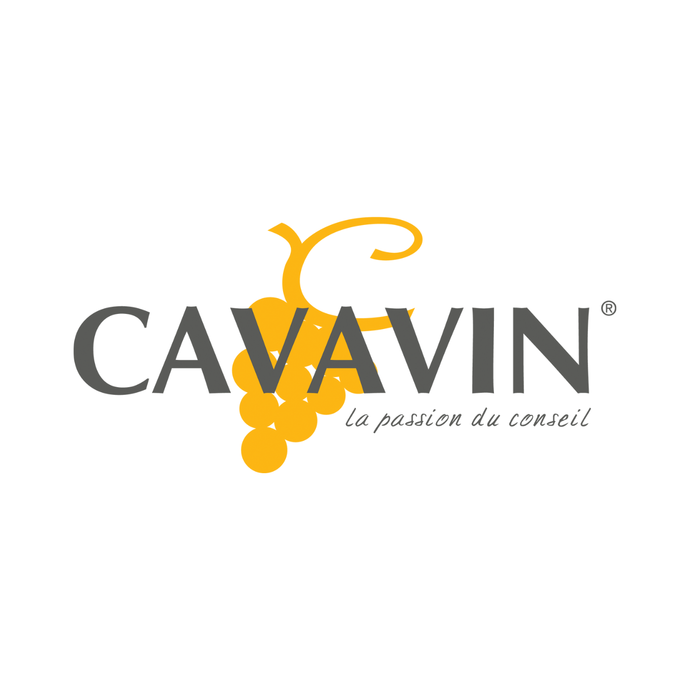 CAVAVIN Logo