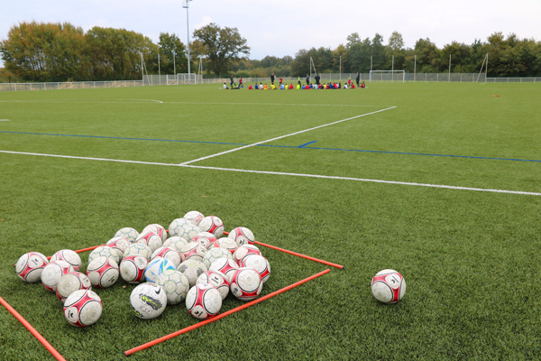 Terrain foot